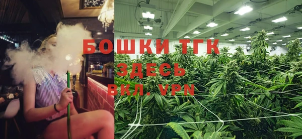 ECSTASY Белая Холуница