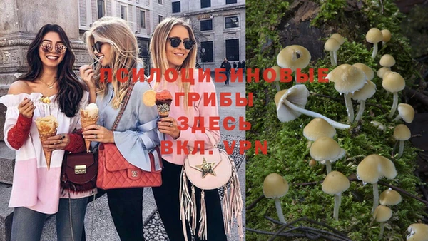 хмурый Абинск