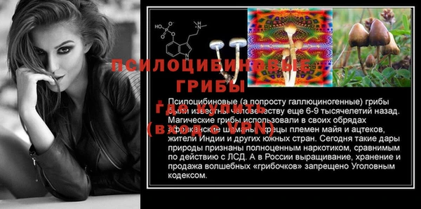 твердый Новокубанск