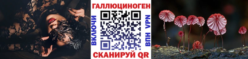 Псилоцибиновые грибы Cubensis  Приморско-Ахтарск 